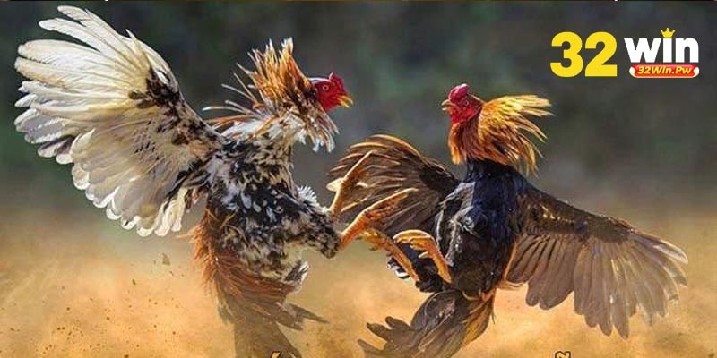 Đá Gà 32Win; Trò Chơi Online Ăn Tiền Lớn